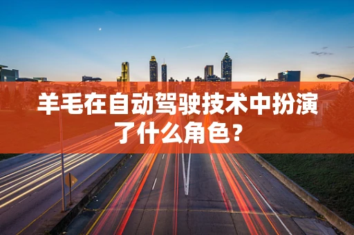 羊毛在自动驾驶技术中扮演了什么角色？