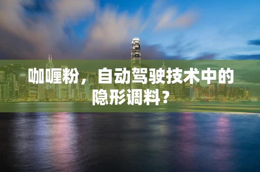 咖喱粉，自动驾驶技术中的隐形调料？