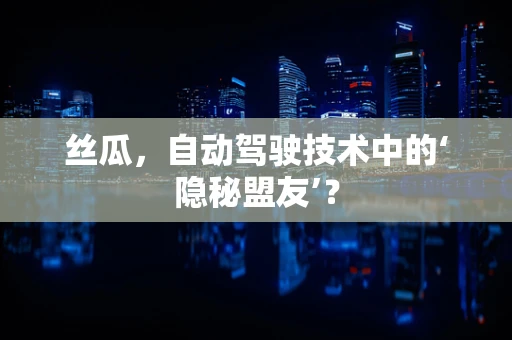 丝瓜，自动驾驶技术中的‘隐秘盟友’？