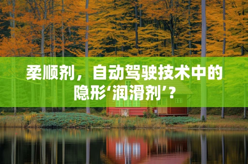 柔顺剂，自动驾驶技术中的隐形‘润滑剂’？