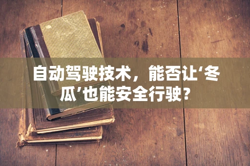 自动驾驶技术，能否让‘冬瓜’也能安全行驶？