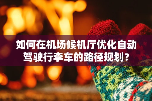 如何在机场候机厅优化自动驾驶行李车的路径规划？