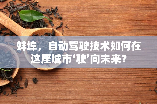 蚌埠，自动驾驶技术如何在这座城市‘驶’向未来？