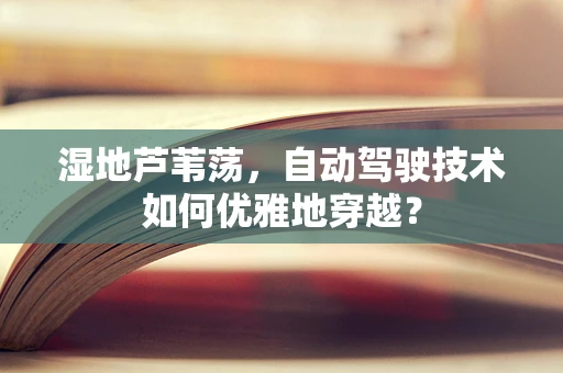湿地芦苇荡，自动驾驶技术如何优雅地穿越？