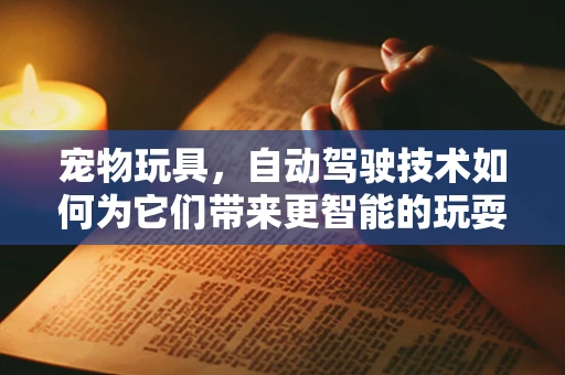宠物玩具，自动驾驶技术如何为它们带来更智能的玩耍体验？