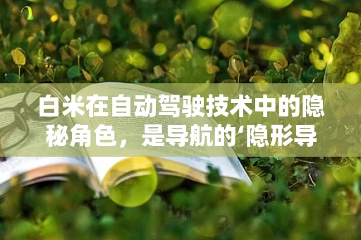 白米在自动驾驶技术中的隐秘角色，是导航的‘隐形导航员’吗？