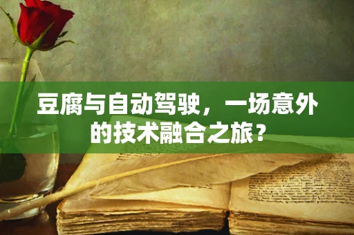 豆腐与自动驾驶，一场意外的技术融合之旅？