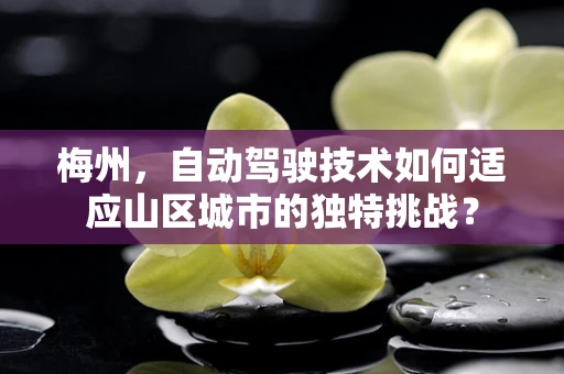 梅州，自动驾驶技术如何适应山区城市的独特挑战？