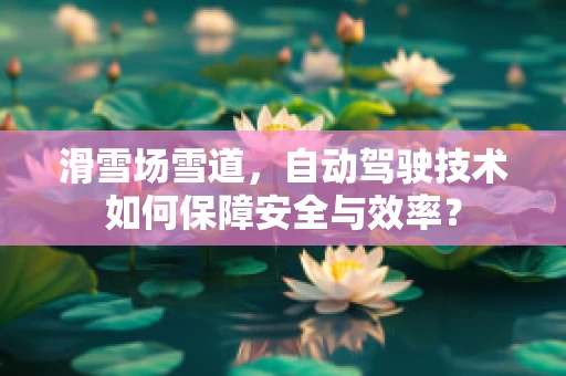 滑雪场雪道，自动驾驶技术如何保障安全与效率？