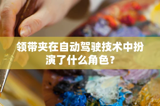 领带夹在自动驾驶技术中扮演了什么角色？
