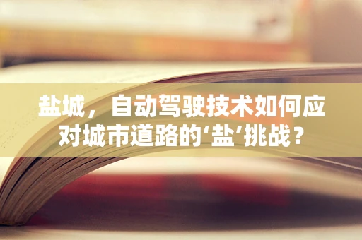 盐城，自动驾驶技术如何应对城市道路的‘盐’挑战？