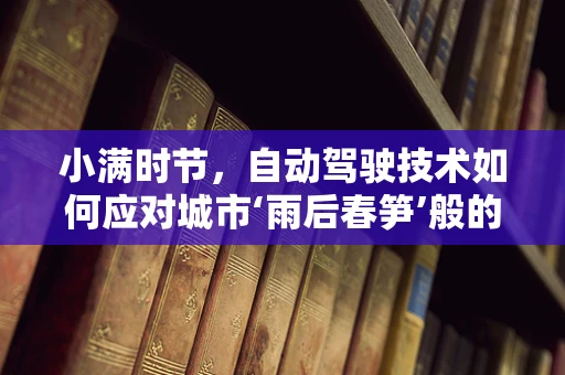 小满时节，自动驾驶技术如何应对城市‘雨后春笋’般的交通挑战？