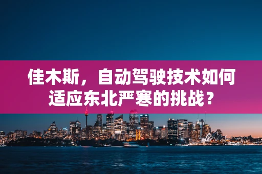 佳木斯，自动驾驶技术如何适应东北严寒的挑战？