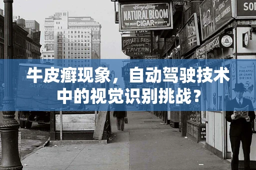 牛皮癣现象，自动驾驶技术中的视觉识别挑战？