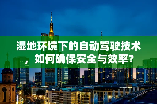 湿地环境下的自动驾驶技术，如何确保安全与效率？