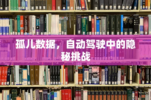 孤儿数据，自动驾驶中的隐秘挑战