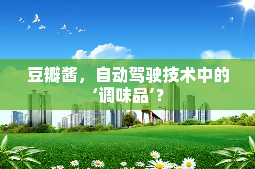豆瓣酱，自动驾驶技术中的‘调味品’？