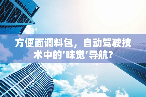 方便面调料包，自动驾驶技术中的‘味觉’导航？