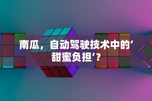 南瓜，自动驾驶技术中的‘甜蜜负担’？