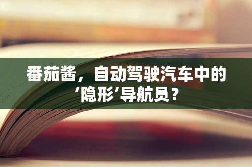 番茄酱，自动驾驶汽车中的‘隐形’导航员？