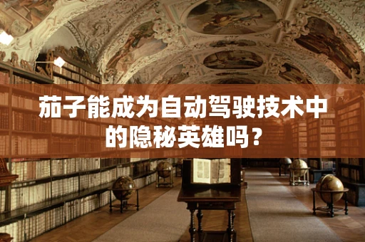 茄子能成为自动驾驶技术中的隐秘英雄吗？