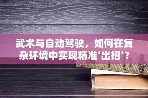 武术与自动驾驶，如何在复杂环境中实现精准‘出招’？