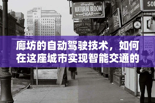 廊坊的自动驾驶技术，如何在这座城市实现智能交通的未来？