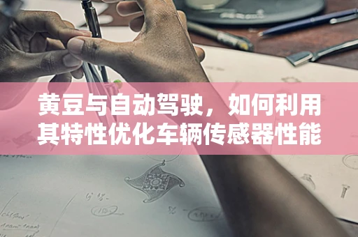 黄豆与自动驾驶，如何利用其特性优化车辆传感器性能？