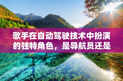 歌手在自动驾驶技术中扮演的独特角色，是导航员还是乘客？