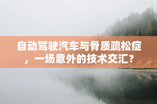 自动驾驶汽车与骨质疏松症，一场意外的技术交汇？