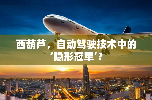 西葫芦，自动驾驶技术中的‘隐形冠军’？