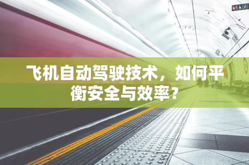 飞机自动驾驶技术，如何平衡安全与效率？