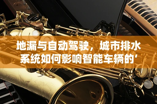 地漏与自动驾驶，城市排水系统如何影响智能车辆的‘眼观六路’？
