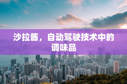 沙拉酱，自动驾驶技术中的调味品