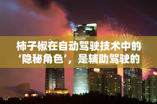 柿子椒在自动驾驶技术中的‘隐秘角色’，是辅助驾驶的味觉密码吗？