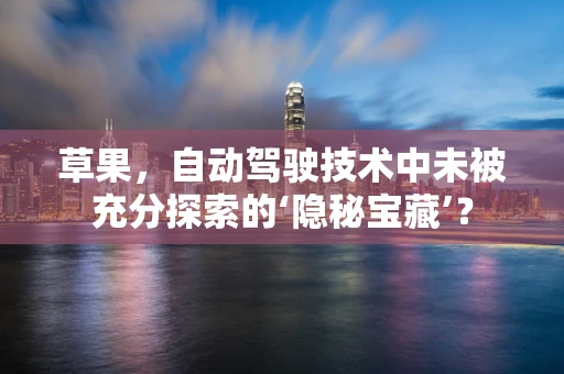 草果，自动驾驶技术中未被充分探索的‘隐秘宝藏’？