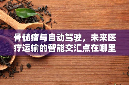 骨髓瘤与自动驾驶，未来医疗运输的智能交汇点在哪里？