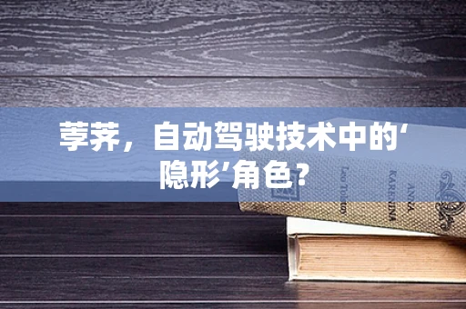 荸荠，自动驾驶技术中的‘隐形’角色？