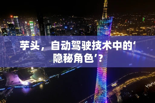 芋头，自动驾驶技术中的‘隐秘角色’？
