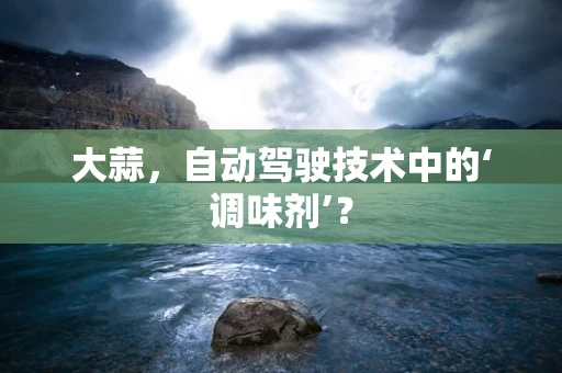 大蒜，自动驾驶技术中的‘调味剂’？