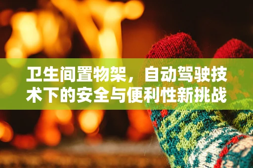 卫生间置物架，自动驾驶技术下的安全与便利性新挑战？