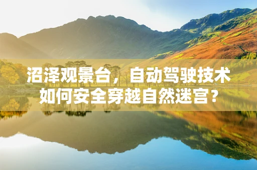 沼泽观景台，自动驾驶技术如何安全穿越自然迷宫？