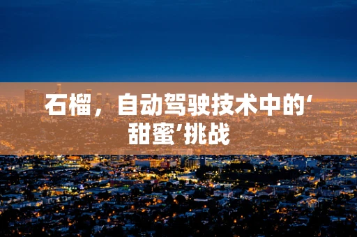 石榴，自动驾驶技术中的‘甜蜜’挑战