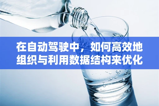 在自动驾驶中，如何高效地组织与利用数据结构来优化算法性能？