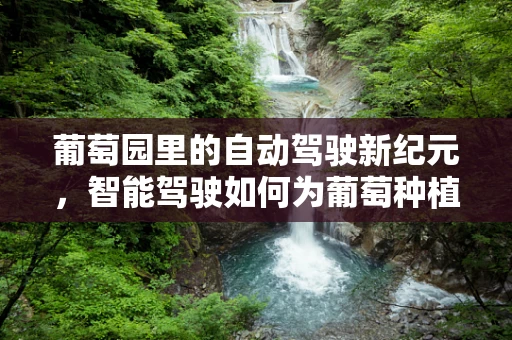 葡萄园里的自动驾驶新纪元，智能驾驶如何为葡萄种植带来甜蜜变革？