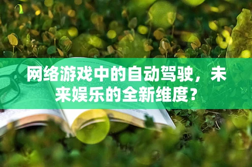网络游戏中的自动驾驶，未来娱乐的全新维度？