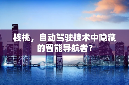 核桃，自动驾驶技术中隐藏的智能导航者？