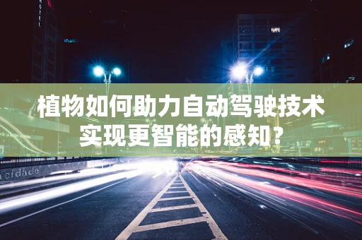 植物如何助力自动驾驶技术实现更智能的感知？
