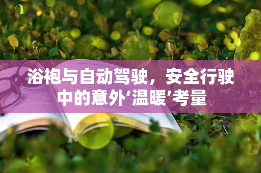 浴袍与自动驾驶，安全行驶中的意外‘温暖’考量