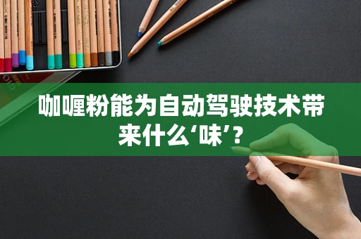 咖喱粉能为自动驾驶技术带来什么‘味’？